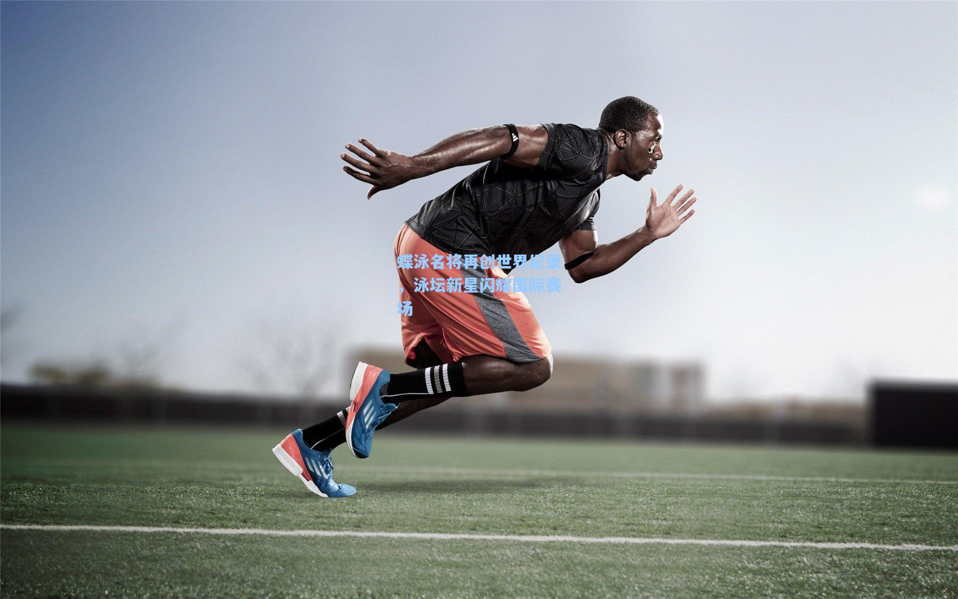 蝶泳名将再创世界纪录，泳坛新星闪耀国际赛场